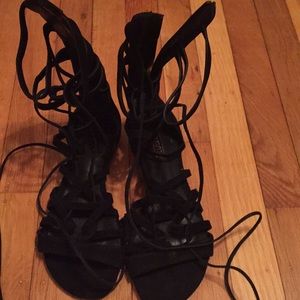 New Shultz gladiators